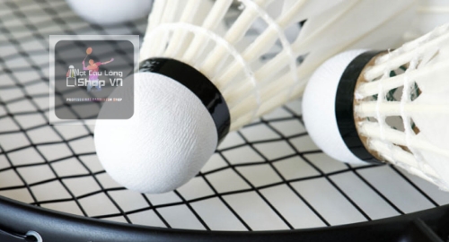 Thông số – Kích thước vợt cầu lông tiêu chuẩn nhất thế giới