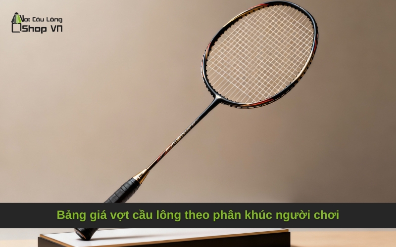 Bảng giá vợt cầu lông theo phân khúc người chơi