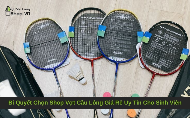 Bí Quyết Chọn Shop Vợt Cầu Lông Giá Rẻ Uy Tín Cho Sinh Viên