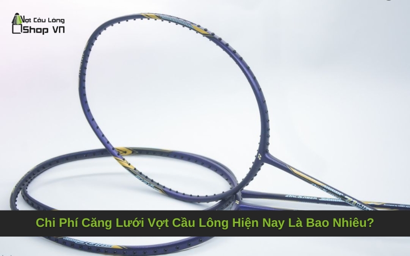 Chi Phí Căng Lưới Vợt Cầu Lông Hiện Nay Là Bao Nhiêu?