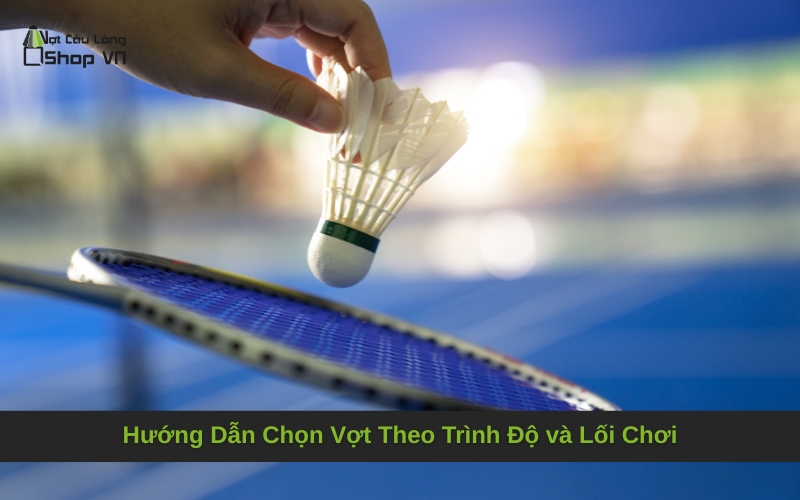 Hướng Dẫn Chọn Vợt Theo Trình Độ và Lối Chơi
