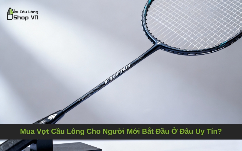 Mua Vợt Cầu Lông Cho Người Mới Bắt Đầu Ở Đâu Uy Tín?