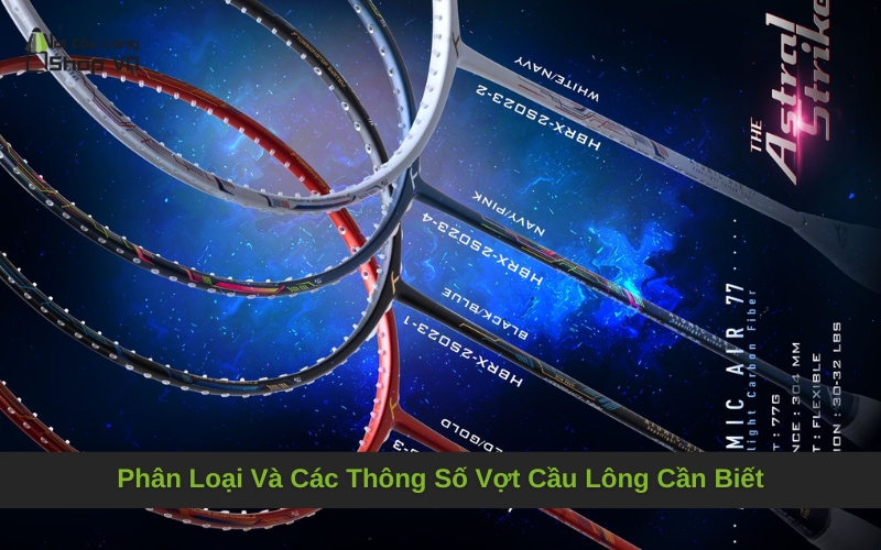 Phân Loại Và Các Thông Số Vợt Cầu Lông Cần Biết