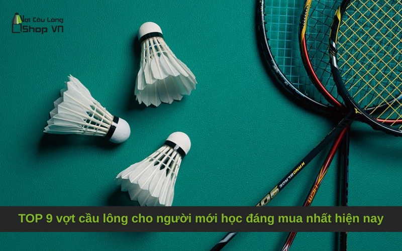 TOP 9 vợt cầu lông cho người mới học đáng mua nhất hiện nay