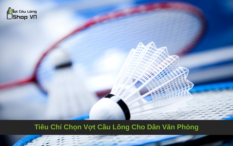 Tiêu Chí Chọn Vợt Cầu Lông Cho Dân Văn Phòng