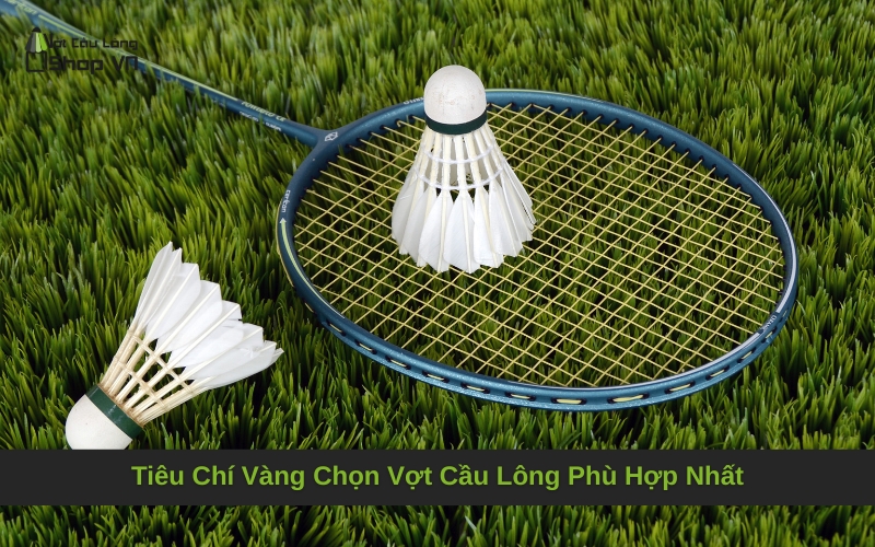 Tiêu Chí Vàng Chọn Vợt Cầu Lông Phù Hợp Nhất