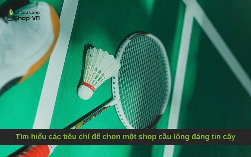 Tìm hiểu các tiêu chí để chọn một shop cầu lông đáng tin cậy