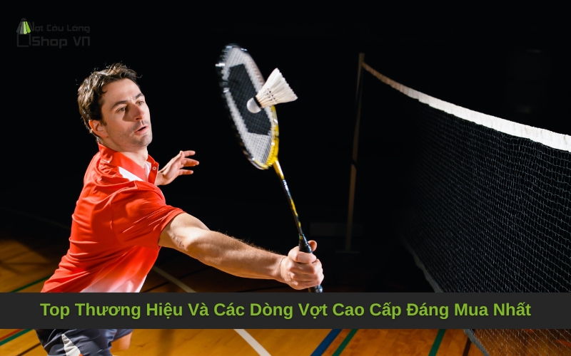 Top Thương Hiệu Và Các Dòng Vợt Cao Cấp Đáng Mua Nhất